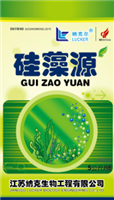 硅藻源