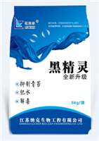 黑精灵